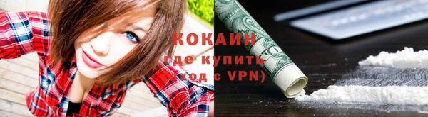 соль ск Алексин