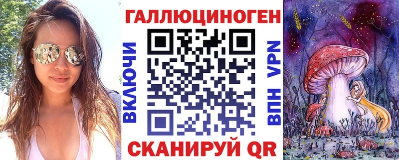 купить цена Рыбное Псилоцибиновые грибы Psilocybe